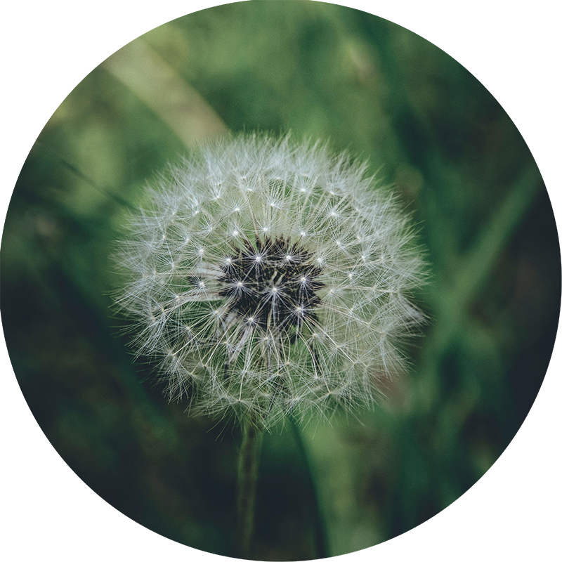 Nationwide Reach, Beirut Heartbeat