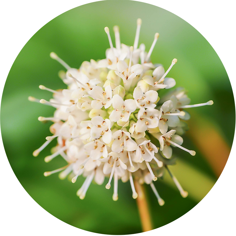 Exclusive Excellence