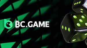 Exploring the BC.Game Poland App A Comprehensive Overview
